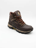 Bota potros